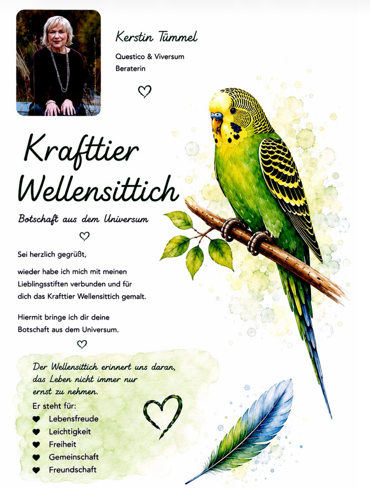 Krafttier Wellensittich – Lebensfreude, Leichtigkeit & Freiheit